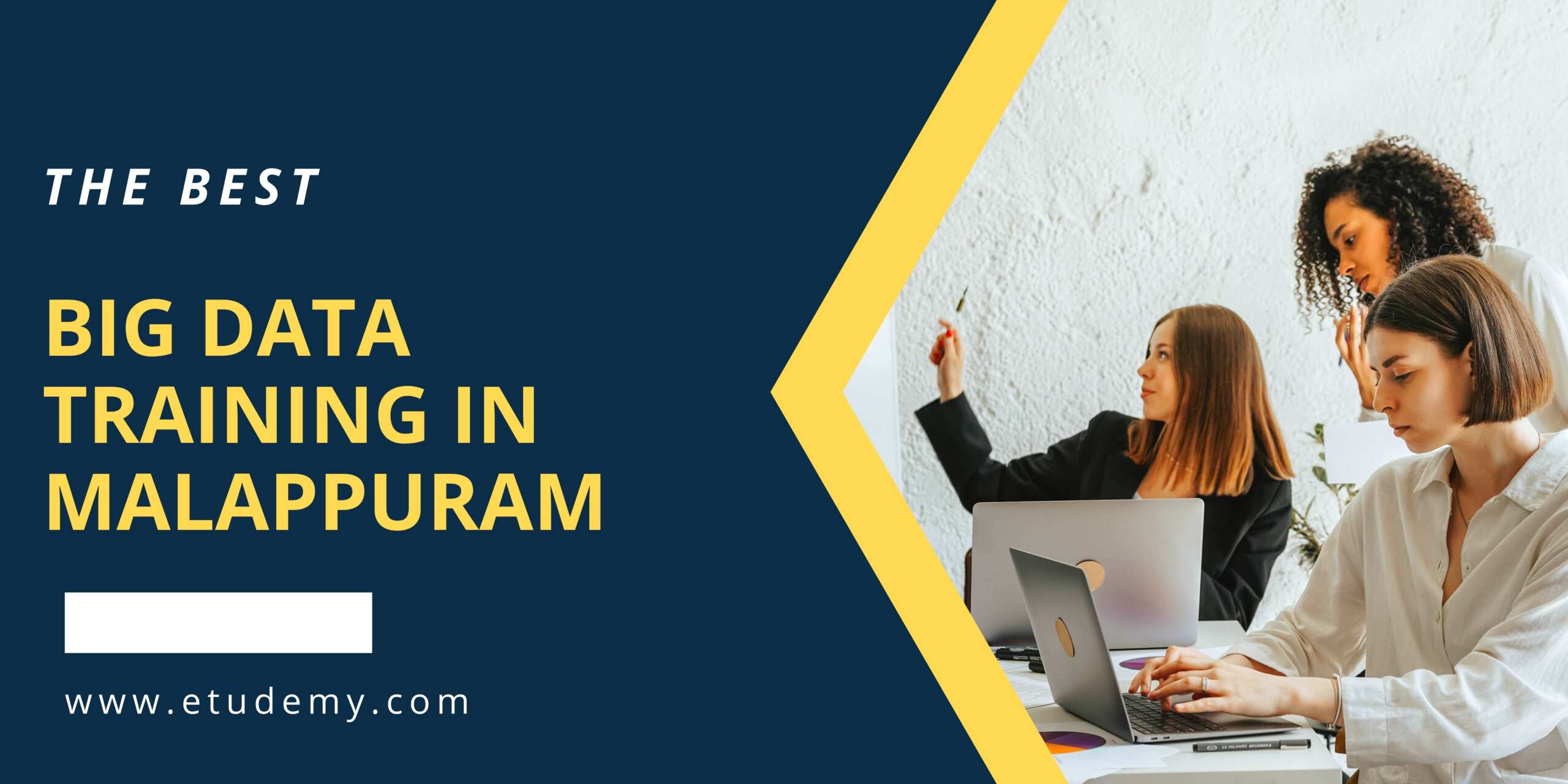 Big Data Training in Malappuram